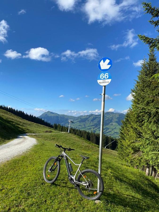 Apartmán Tirolapart Am Lift - Jochberg Bei Kitzbuhel Exteriér fotografie
