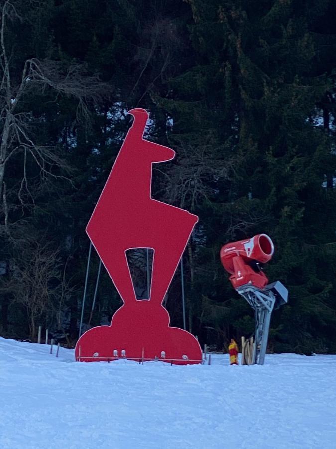 Apartmán Tirolapart Am Lift - Jochberg Bei Kitzbuhel Exteriér fotografie